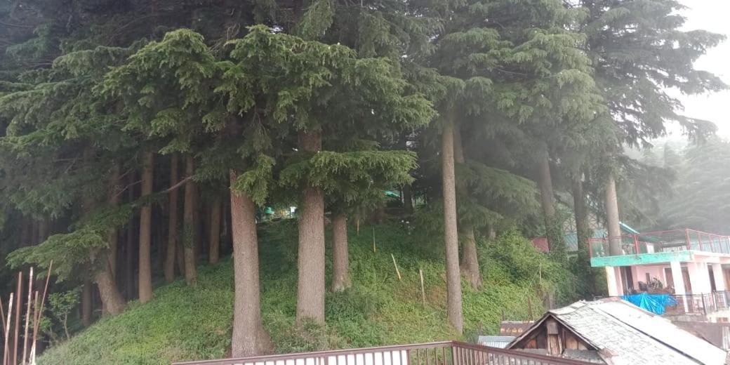 Hotel Forest View Lahri Экстерьер фото