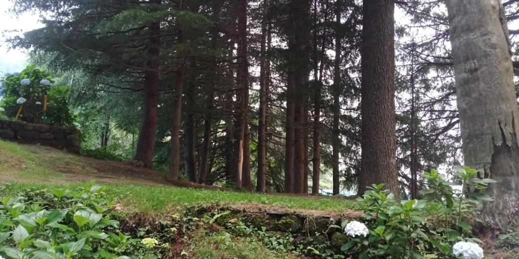 Hotel Forest View Lahri Экстерьер фото